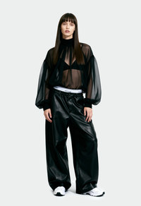 Sheer Blouse
